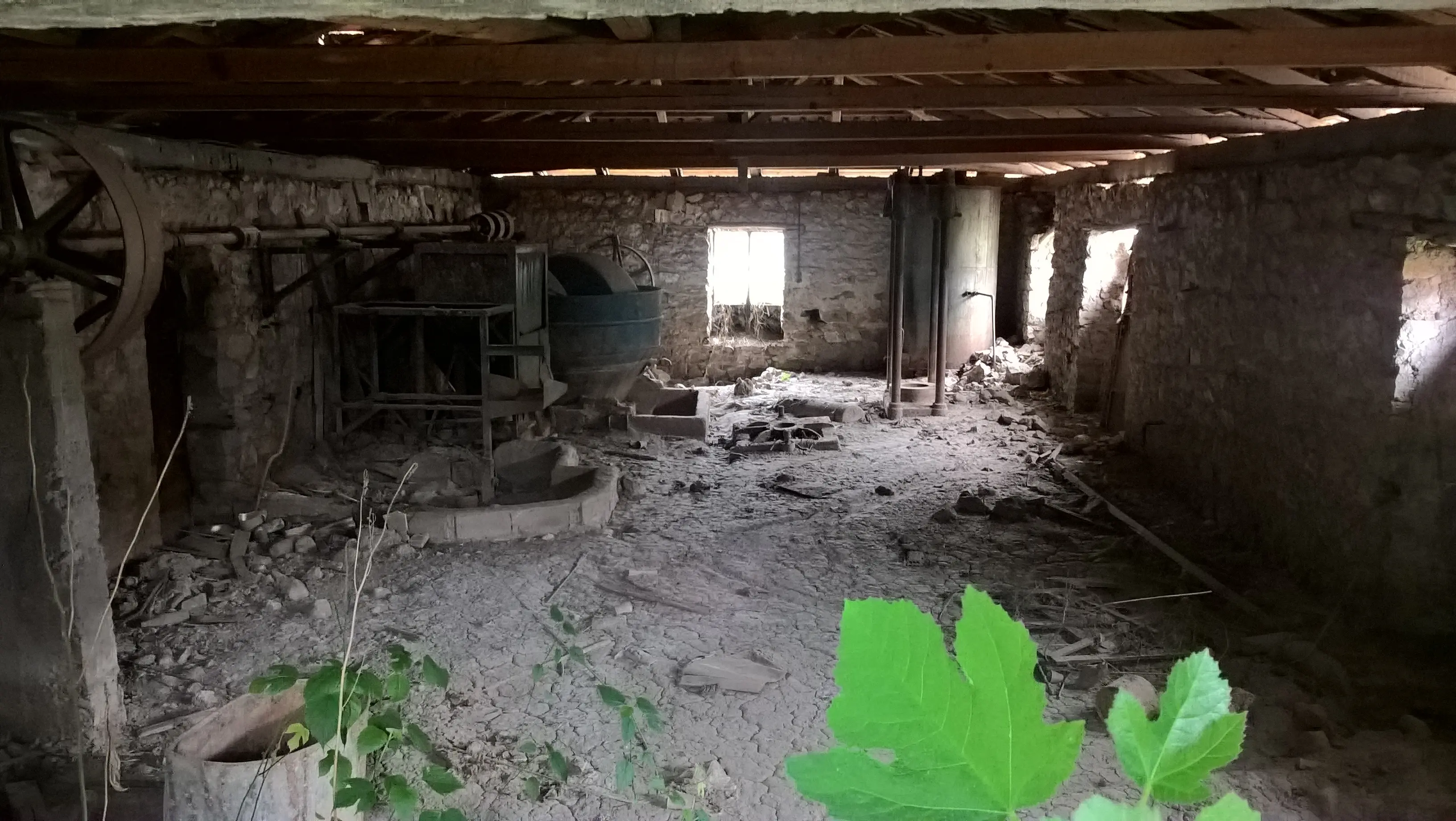 Μελέτη Μουσείου Ελιάς